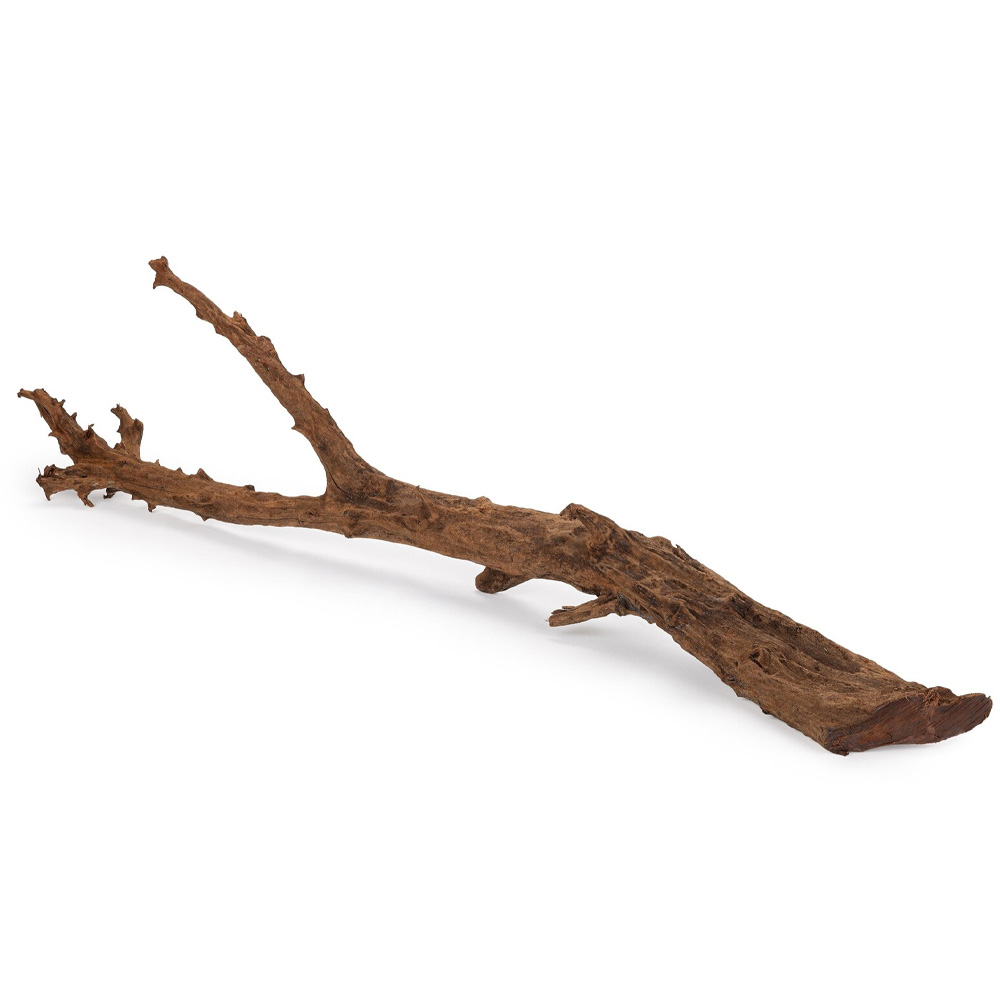 Happet Korzeń Mangrowca L do akwarium i terrarium - gałąź 70-90cm